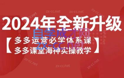 海神老师·拼多多运营必学体系课-天韵资源网