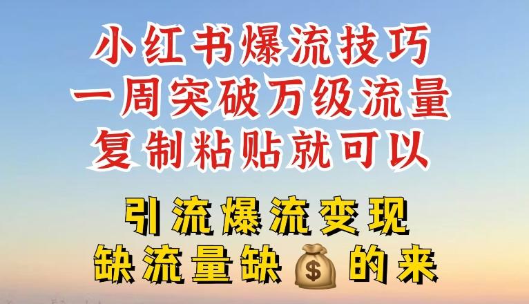 小红书爆流技巧，一周突破万级流量，复制粘贴就可以，引流爆流变现【揭秘】-天韵资源网