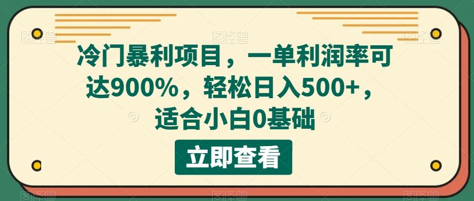 冷门暴利项目，一单利润率可达900%，轻松日入500+，适合小白0基础-天韵资源网