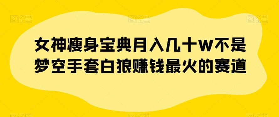 女神瘦身宝典月入几十W不是梦空手套白狼赚钱最火的赛道【揭秘】-天韵资源网