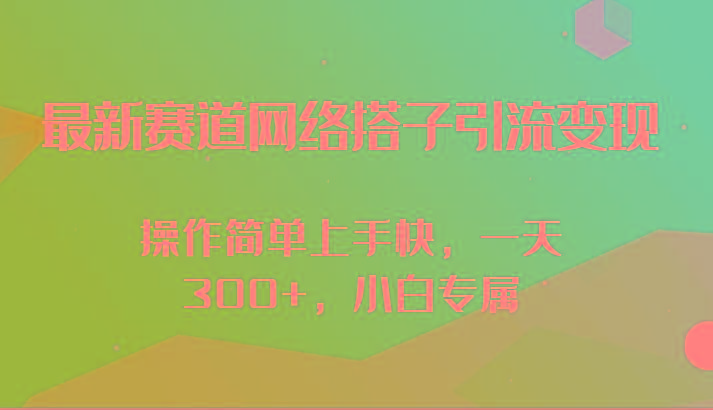 最新赛道网络搭子引流变现!!操作简单上手快，一天300+，小白专属-天韵资源网
