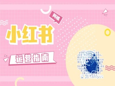 小红书运营指南，没有套路，全是经验-天韵资源网