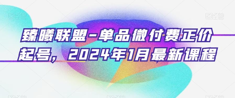 臻曦联盟-单品微付费正价起号，2024年1月最新课程-天韵资源网