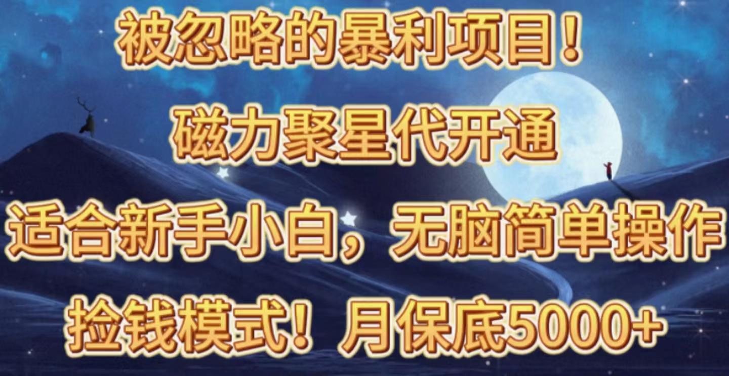 被忽略的暴利项目！磁力聚星代开通捡钱模式，轻松月入五六千-天韵资源网