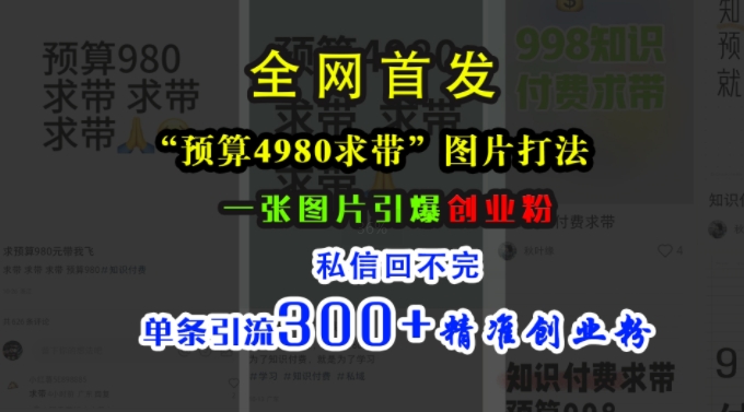 小红书“预算4980带我飞”图片打法，一张图片引爆创业粉，私信回不完，单条引流300+精准创业粉-天韵资源网