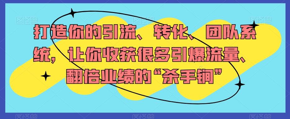 打造你的引流、转化、团队系统，让你收获很多引爆流量、翻倍业绩的“杀手锏”-天韵资源网