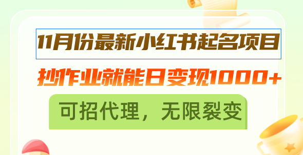 11月份最新小红书起名项目，抄作业就能日变现1000+，可招代理，无限裂变-天韵资源网
