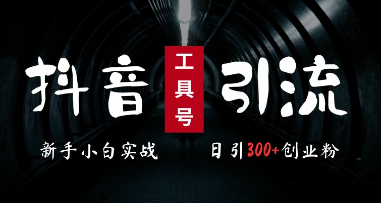 2024最新抖音工具号引流玩法，高效日引300+创业粉，当天变现5k，小白也可成为实战高手-天韵资源网
