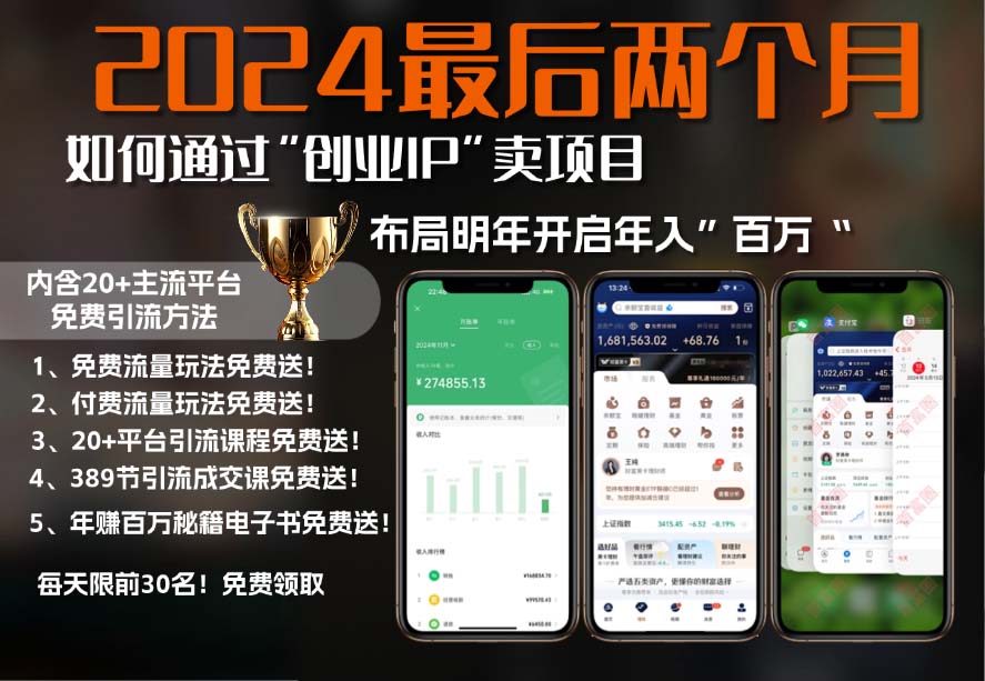 2024最后两个月如何通过”创业IP“卖项目年入”百万“,创业IP+最强引流…-天韵资源网