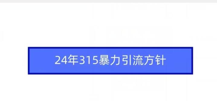 24年315暴力引流方针-天韵资源网