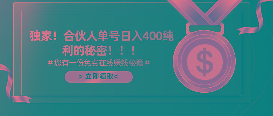 (10028期)合伙人广告撸金最新玩法，每天单号400纯利-天韵资源网