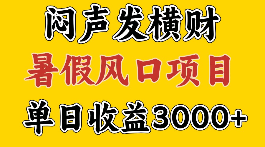 30天赚了7.5W 暑假风口项目，比较好学，2天左右上手-天韵资源网