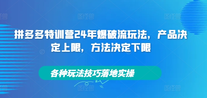 拼多多特训营24年爆破流玩法，产品决定上限，方法决定下限，各种玩法技巧落地实操-天韵资源网