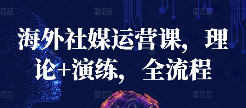 海外社媒运营课，理论+演练，全流程-天韵资源网