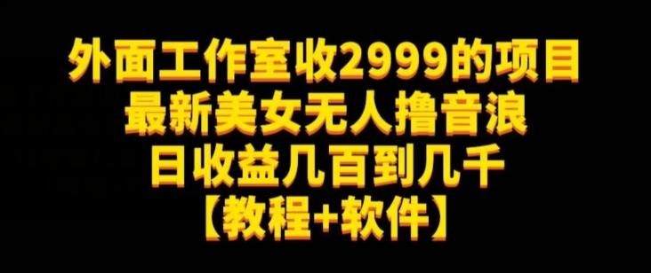 外面工作室收2999的项目最新美女无人撸音浪日收益几百到几千【教程+软件】（仅揭秘）-天韵资源网
