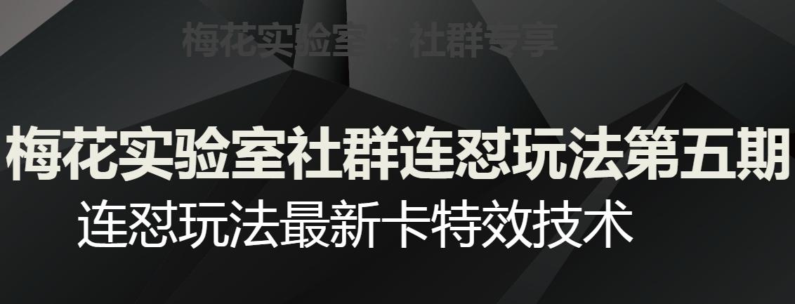 梅花实验室社群连怼玩法第五期，视频号连怼玩法最新卡特效技术-天韵资源网