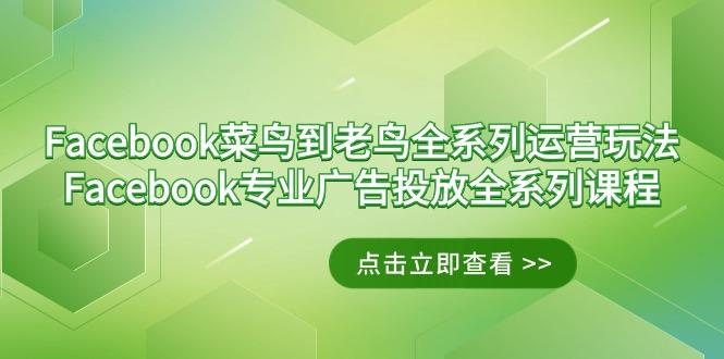 Facebook-菜鸟到老鸟全系列运营玩法+Facebook-专业广告投放全系列课程-天韵资源网