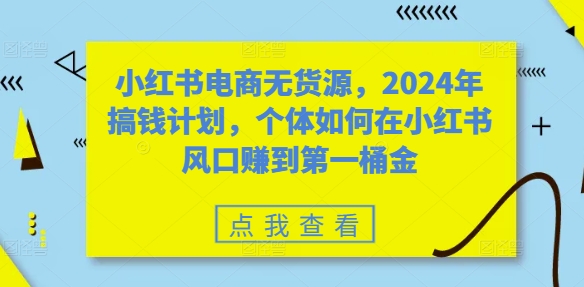 小红书电商无货源，2024年搞钱计划，个体如何在小红书风口赚到第一桶金-天韵资源网