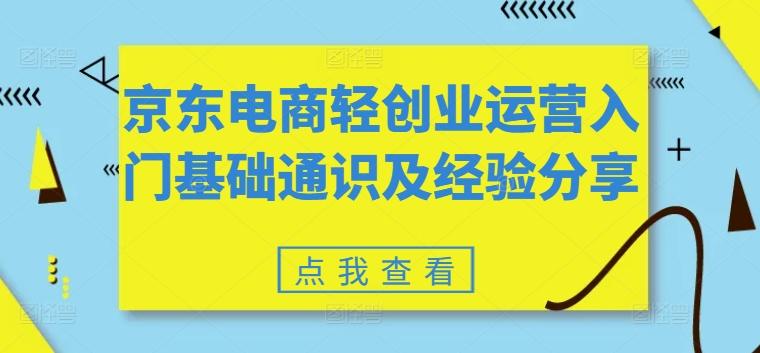 京东电商轻创业运营入门基础通识及经验分享-天韵资源网