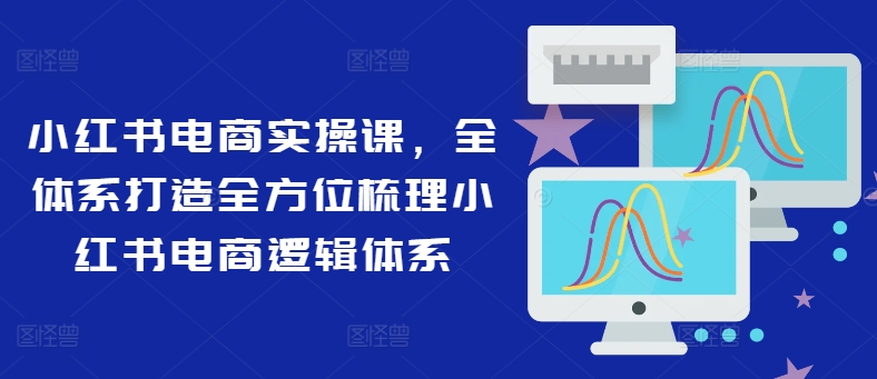 小红书电商实操课，全体系打造全方位梳理小红书电商逻辑体系-天韵资源网
