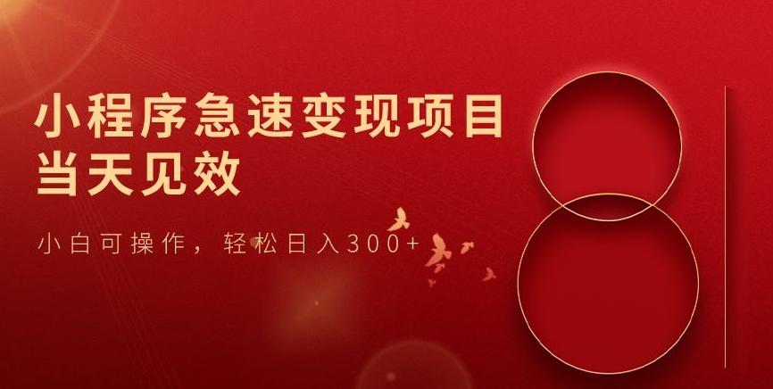 小程序急速变现项目，当天见效，小白可操作，轻松日入300+-天韵资源网