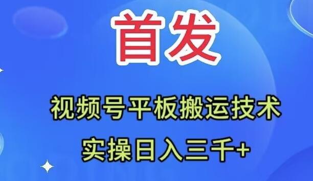 全网首发：视频号平板搬运技术，实操日入三千＋-天韵资源网
