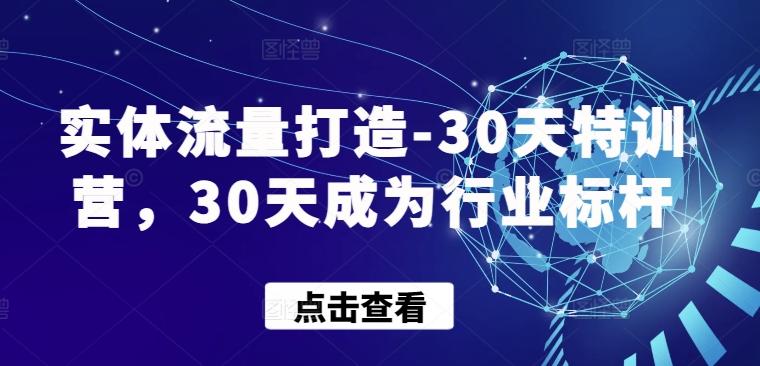 实体流量打造-30天特训营，30天成为行业标杆-天韵资源网