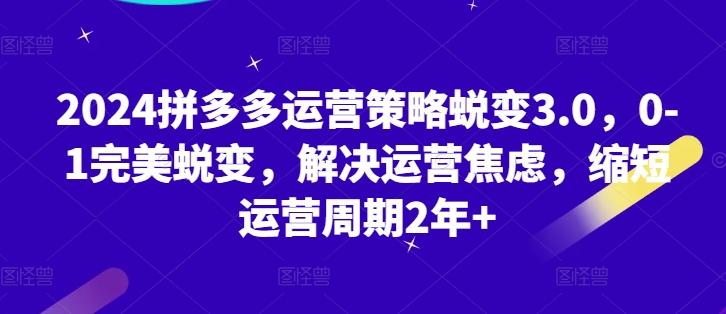2024拼多多运营策略蜕变3.0，0-1完美蜕变，解决运营焦虑，缩短运营周期2年+-天韵资源网