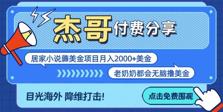 拆解海外撸美金项目月入2000美刀详细指导-天韵资源网