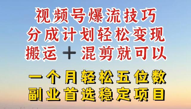 视频号爆流技巧，分成计划轻松变现，搬运 +混剪就可以，一个月轻松五位数稳定项目【揭秘】-天韵资源网