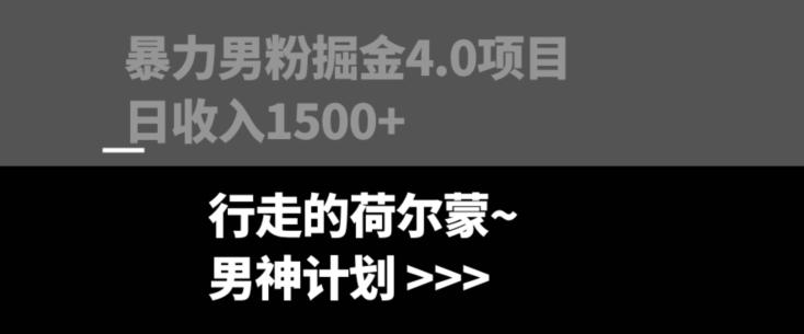 暴力男粉掘金4.0项目不违规不封号无脑复制单人操作日入1000+-天韵资源网