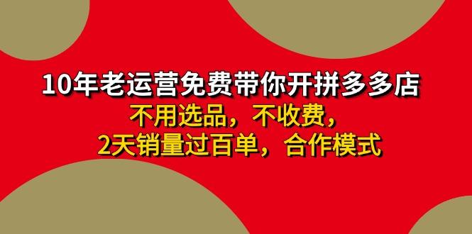 拼多多-合作开店日入4000+两天销量过百单，无学费、老运营教操作、小白…-天韵资源网