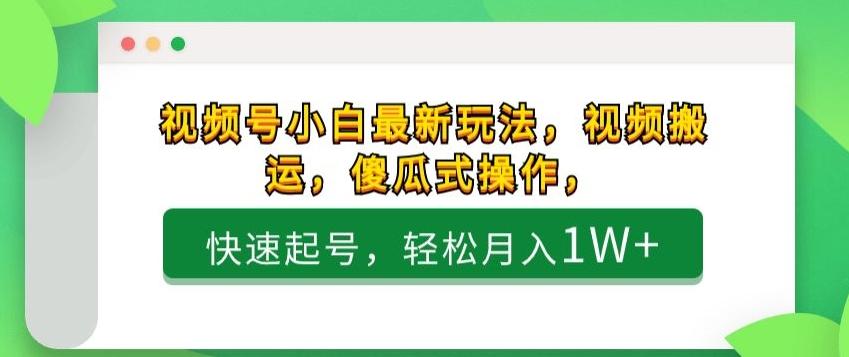 视频号小白最新玩法，视频搬运，傻瓜式操作，快速起号，轻松月入1W+-天韵资源网