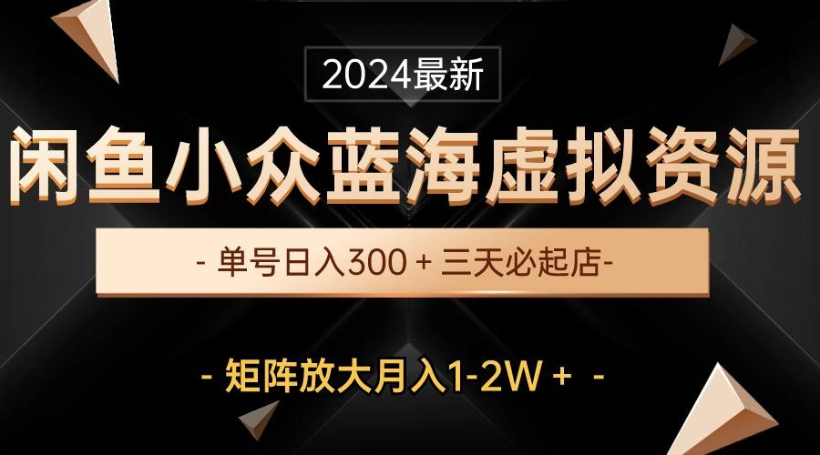 最新闲鱼小众蓝海虚拟资源，单号日入300＋，三天必起店，矩阵放大月入1-2W-天韵资源网