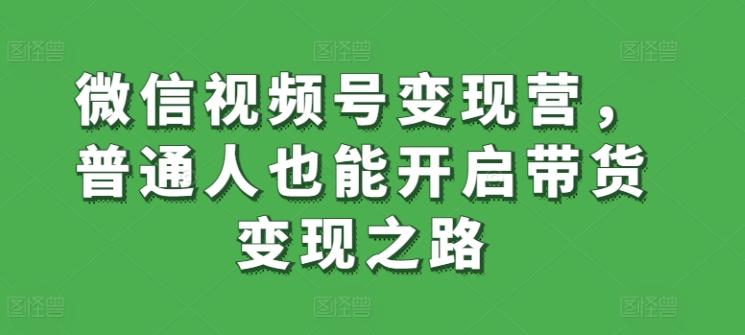 微信视频号变现营，普通人也能开启带货变现之路-天韵资源网