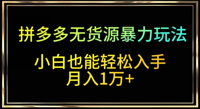 拼多多无货源暴力玩法，全程干货，小白也能轻松入手，月入1万+【揭秘】-天韵资源网