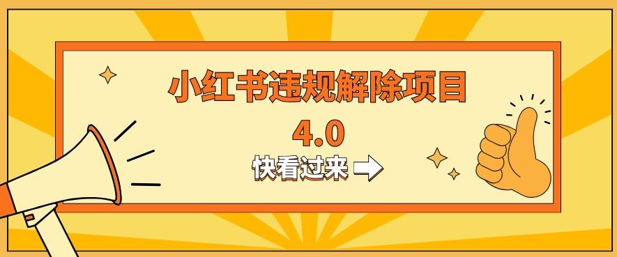 小红书违规掘金蓝海项目，日入800+（附带引流办法及解除办法）-天韵资源网