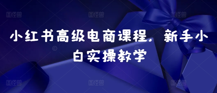 小红书高级电商课程，新手小白实操教学-天韵资源网