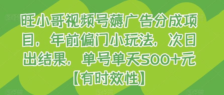旺小哥视频号薅广告分成项目，年前偏门小玩法，次日出结果，单号单天500+元【有时效性】-天韵资源网