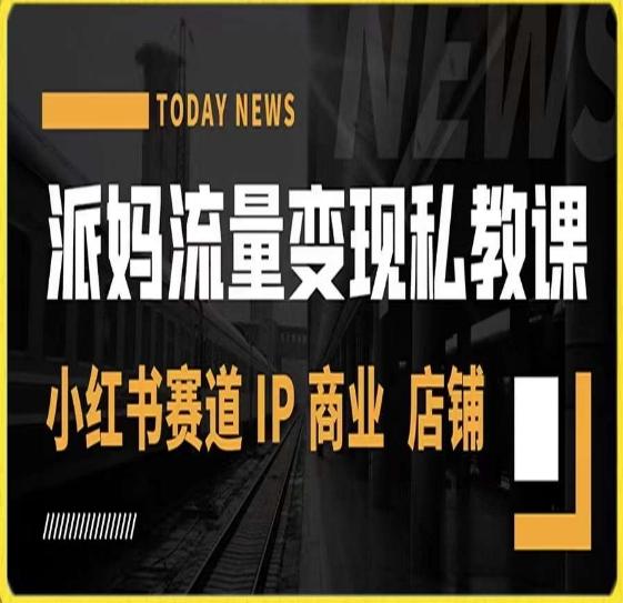 派妈流量变现私教课，小红书赛道IP  商业  店铺 -天韵资源网