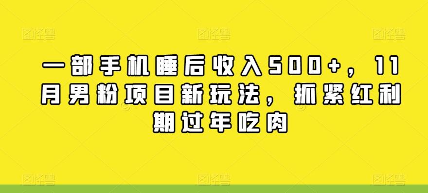 一部手机睡后收入500+，11月男粉项目新玩法，抓紧红利期过年吃肉-天韵资源网