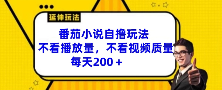 番茄小说自撸玩法，不看播放量，不看视频质量，每天200+【揭秘】-天韵资源网