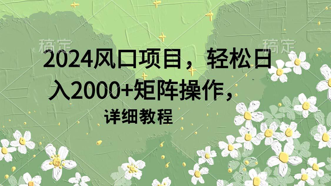 (9652期)2024风口项目，轻松日入2000+矩阵操作，详细教程-天韵资源网