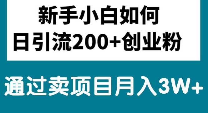 新手小白日引流200+创业粉,通过卖项目月入3W+-天韵资源网