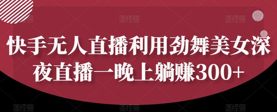 快手无人直播利用劲舞美女深夜直播一晚上躺赚300+-天韵资源网