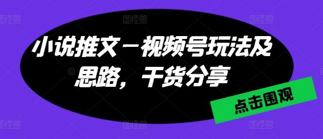 小说推文—视频号玩法及思路，干货分享-天韵资源网
