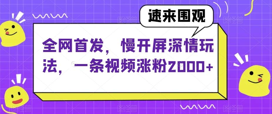全网首发，慢开屏深情玩法，一条视频涨粉2000+【揭秘】-天韵资源网