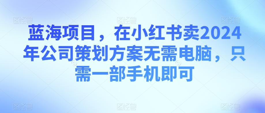蓝海项目，在小红书卖2024年公司策划方案无需电脑，只需一部手机即可-天韵资源网