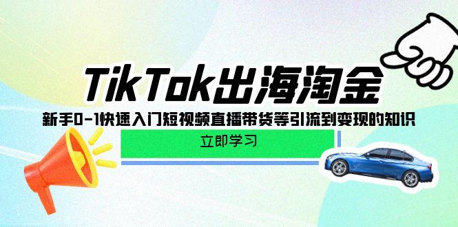 (10035期)TikTok-出海淘金，新手0-1快速入门短视频直播带货等引流到变现的知识-天韵资源网