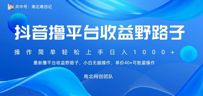 最新撸抖音平台收益野路子，操作简单，单价高，小白可无脑操作可日入1000+-天韵资源网
